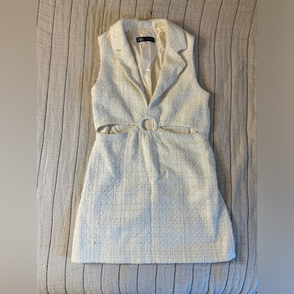 Zara Mini Tweed Dress